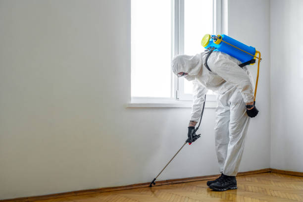 Professional Pest Control in Hershey, PA